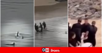En vacances, un adolescent de 16 ans se fait violemment attaquer par un requin (VIDEO)