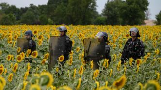 « Turboteuf » contre l'A69 : des incidents après une journée dans le calme entre gendarmes et militants