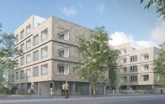 Caen : du châtaignier sur les HLM