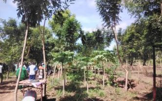 Fada N'Gourma : Plus de 460 plants médicinaux mis en terre pour marquer la journée nationale de l'arbre