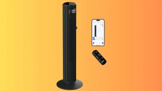 Canicule : ce ventilateur colonne connecté en promo rafraîchit mieux qu'un climatiseur !