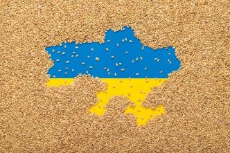 L’UE réduit de 80 % ses importations de blé et de sucre ukrainiens