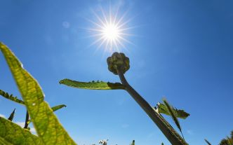 Canicule : la chaleur est encore étouffante dans le sud-est de la France
