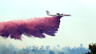 Incendie dans l'Aude provoqué par un véhicule en flammes : 400 hectares ravagés, 500 pompiers mobilisés, des personnes évacuées, le point sur le feu de Moux et Douzens