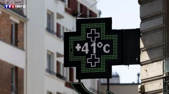 La vague de chaleur s'est officiellement terminée vendredi et a été aussi longue que celle de 2003 | TF1 INFO