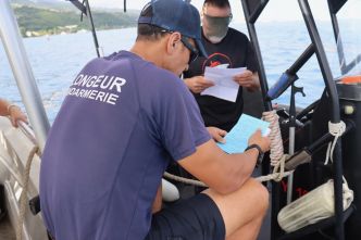 Observation des baleines : nouvelle réglementation, plus de contrôles