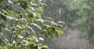Pluies persistantes attendues ce dimanche 6 juillet : le point météo pour la journée d'Achoura