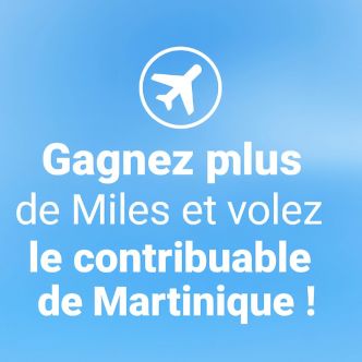 À qui appartiennent les MILES générés par les billets d’avion payés avec l’argent public ?