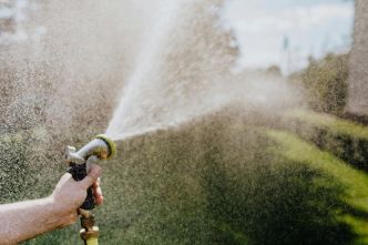 Le matin, en journée ou en soirée, quel est le meilleur moment pour arroser son jardin ?
