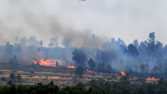 Incendie dans l'Hérault : "Le feu a traversé l'autoroute", "il a viré à 180°"... comment le sinistre est-il devenu si difficile à contrôler ?