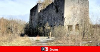 Idée sortie à Charleroi: la balade de la réserve du Brun Chêne mène droit au paradis