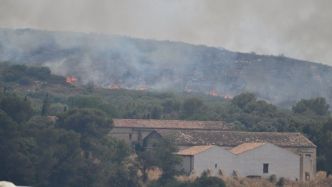 DIRECT Incendie dans l'Hérault : 200 pompiers toujours sur place, un feu "maîtrisé"... suivez la situation en live