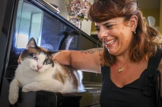 Garde d'animaux en Béarn : quelle option choisir cet été ?