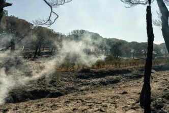 Incendie maîtrisé dans l'Hérault ; les Bouches-du-Rhône placées en vigilance rouge pour les feux de forêt
