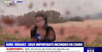 "Qu'est-ce que vous foutez-là !", un pompier vire en direct une journaliste de BFMTV venue trop près des incendies en Hérault