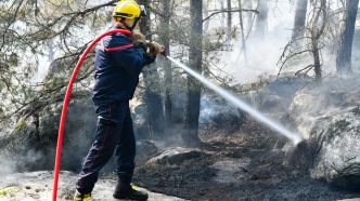 Hérault : incendie « maîtrisé », 200 pompiers toujours sur place « en surveillance »