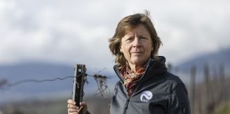 Climat et canicule: «Mon but, ce n'est pas de protéger l'environnement, c'est de protéger l'humanité»