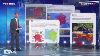 VÉRIF' - Les cartes météo dramatisent-elles volontairement la hausse des températures ? | TF1 INFO