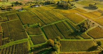 Sur les hauteurs de la Gironde, ce village à l'ombre des vignes possède un secret bien gardé