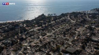 Los Angeles veut mettre fin au "tourisme de catastrophe", 6 mois après les incendies à Pacific Palisades | TF1 INFO