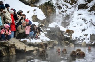 Et l'exemple du Japon prouve que le recul de la présence humaine n'est pas bon pour... la biodiversité