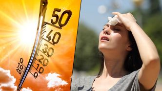 Météo – Il fera encore très chaud ce 6 juillet en Tunisie