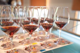 Barolo en Primeur: « Vinced 2024 rapprochera les palais les moins habitués de ce vin »