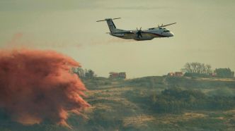 Aude : l'incendie a cessé sa progression mais n'est pas encore maîtrisé, près de 500 ha parcourus