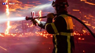 Feux de forêt : "Tous les étés seront les étés de tous les dangers" | TF1 INFO