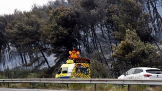 Incendie dans l'Aude provoqué par un véhicule en flammes : 488 hectares de végétation détruits, le feu est désormais fixé