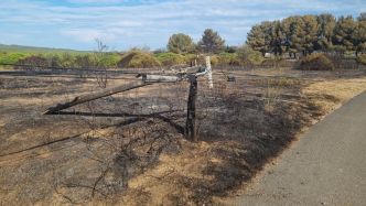 Incendie dans l'Hérault : au lendemain du sinistre, Mireval se réveille sous la fumée, le massif de le Gardiole reste sous surveillance