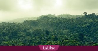 "Comment allons-nous survivre ici ?" : Un escroc a planifié une arnaque aux conséquences désastreuses