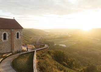 Escapades dans les vignobles de côte-rôtie et condrieu : des grappes d'or et de grenat