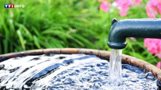 Avez-vous le droit de vous ravitailler en eau dans un puits ou une fontaine publique ? | TF1 INFO