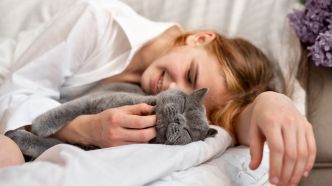 Et si votre chat essayait de vous parler ? Des chercheurs dévoilent une technique pour communiquer avec lui
