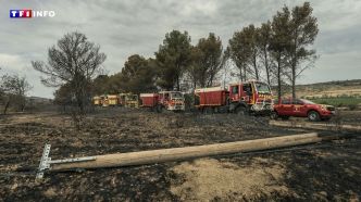 "Un paysage lunaire" : le feu s'arrête à quelques mètres des maisons, les habitants d'un village de l'Aude soulagés | TF1 INFO