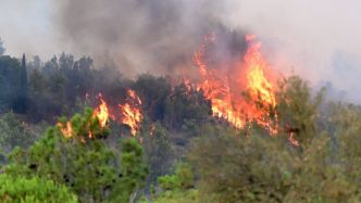 Météo des Forêts : l'Aude passe au plus haut niveau d'alerte pour le risque incendie