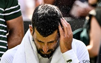 Djokovic, sur son adversaire en huitièmes de finale : « Vous n'êtes jamais euphorique à l'idée d'affronter un joueur comme lui sur gazon »