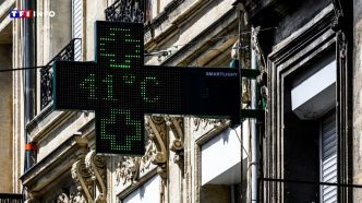 Crise climatique et complotisme : "Beaucoup n'acceptent pas l'idée que le malheur qui arrive soit imputable à nos modes de vie", estime François Gemenne | TF1 INFO