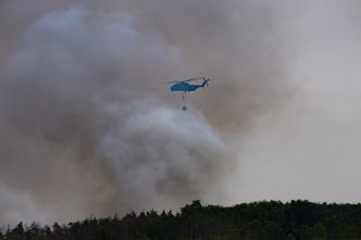 La saison des incendies a commencé, la Méditerranée entre en alerte
