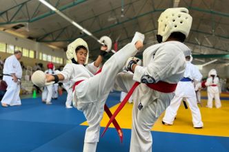 Saint-Denis : près de 120 pratiquants de Kyokushinkai face à l'épreuve du passage de grade