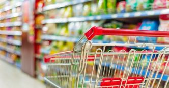 « Un poison mortel » : l'APOCE dénonce un produit largement consommé en été