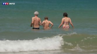 La plage de Lacanau est la plus propre de France : comment la qualité de l'eau est-elle contrôlée ? | TF1 INFO