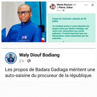 Offensive politique Coordonnée  : Le Pastef Exerce-t-il une Pression sur la Justice pour l'Arrestation de Badara Gadiaga ?
