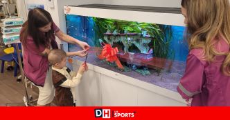 Au MontLégia, un aquarium a été inauguré "pour adoucir le quotidien" des petits patients