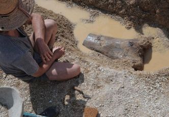 INFO "SUD OUEST”. « Ce qui nous arrive est extraordinaire » : des os de dinosaures géants découverts en Charente