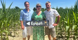 Melay. Ils ouvrent Épidéfi, un parc de loisirs dans un labyrinthe géant de maïs