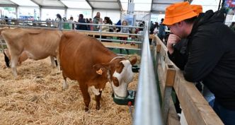 [Photos] Foire agricole d'Ettelbruck : la plus grande ferme du pays attire toujours