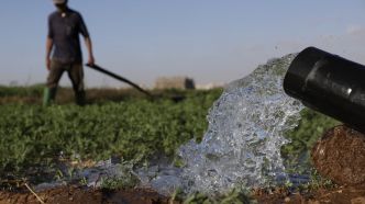 "Un scénario catastrophique se profilait": au Maroc, l'eau dessalée sauve l'agriculture face à la sécheresse