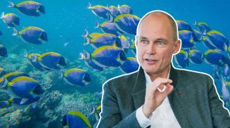 Bertrand Piccard : « Nous ne cherchons pas à empêcher les gens de tourner en rond. Juste à leur montrer comment ça peut tourner mieux. »